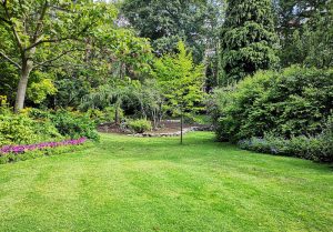 Optimiser l'expérience du jardin à Limeux